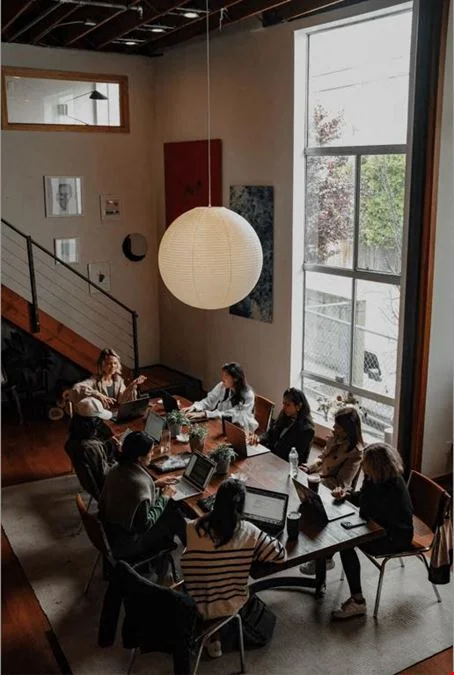 Moss Collective — photo 3