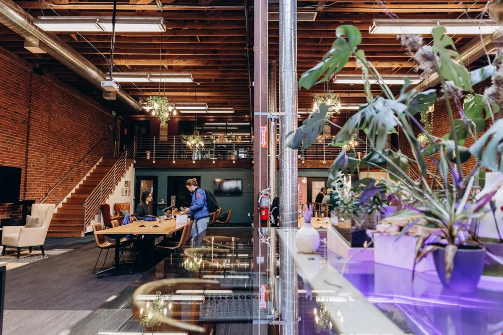 Trellis Coworking & Events — photo 2